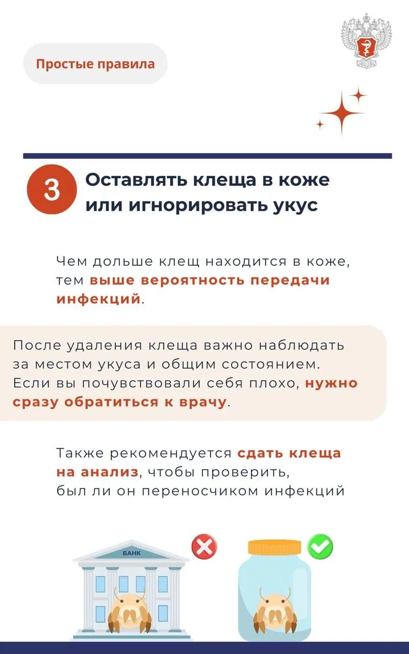 Клещ4.jpg Клещ4.jpg