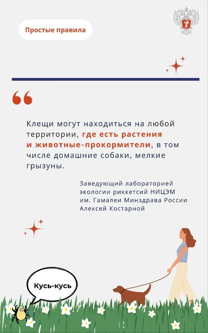 Как избежать укуса клеща 2.jpg Как избежать укуса клеща 2.jpg
