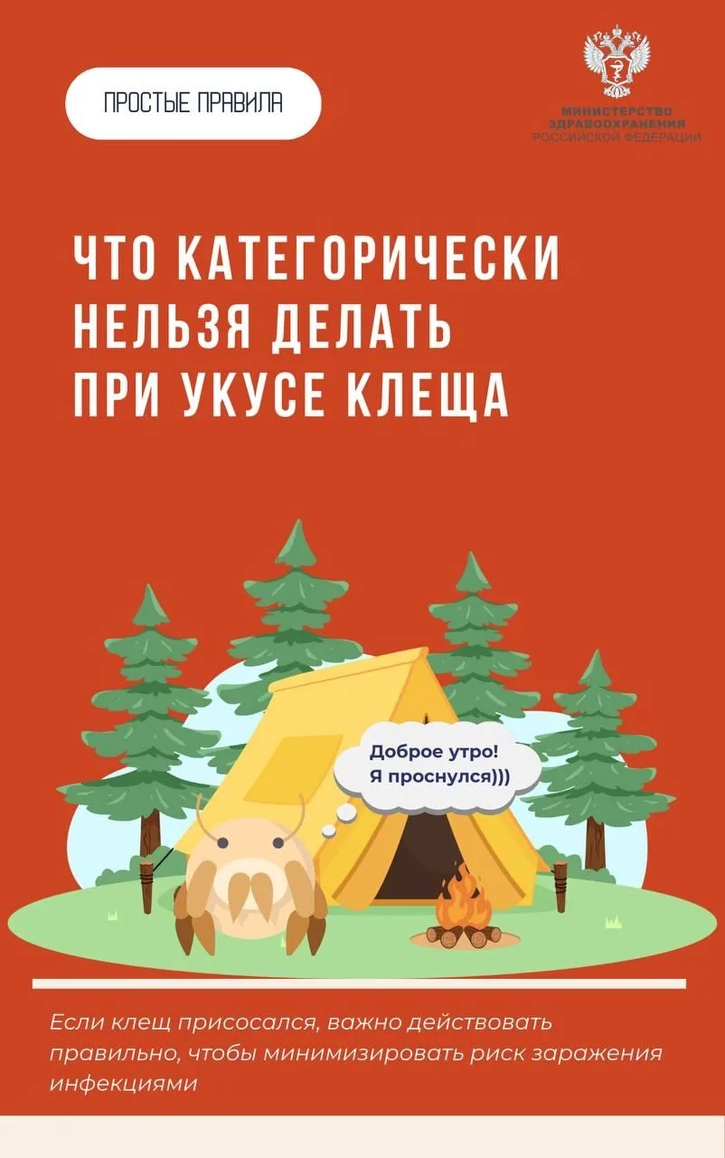 Клещ1.jpg Клещ1.jpg