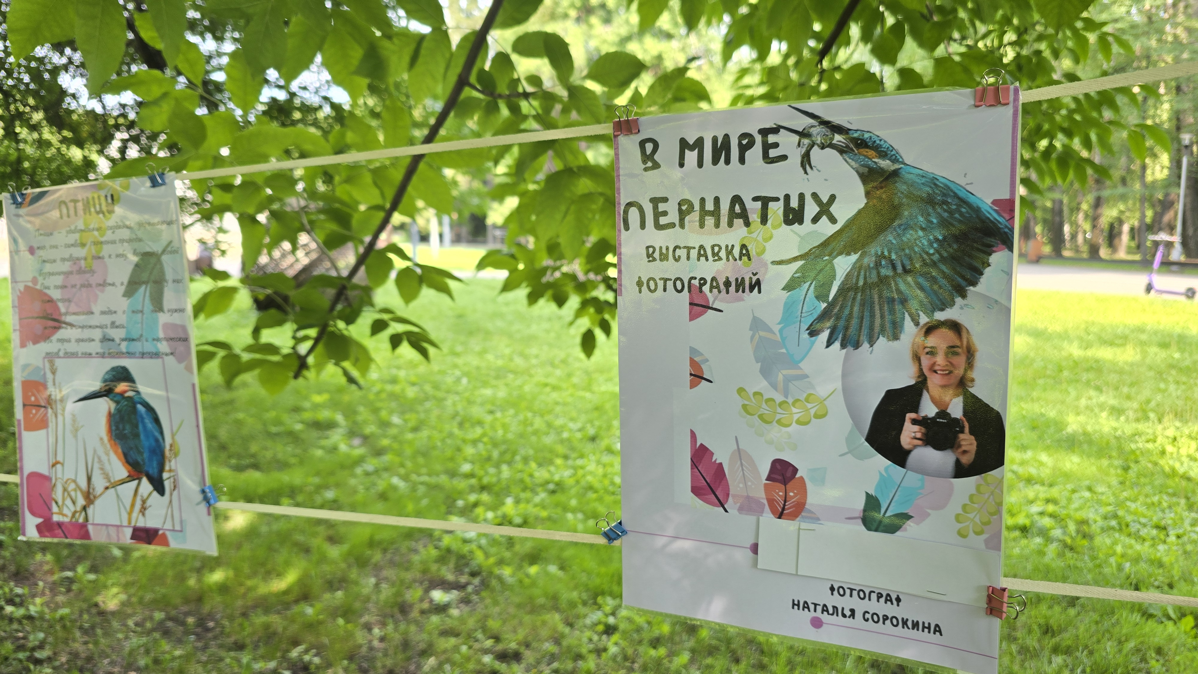 Эко ЁЖ (2).jpg