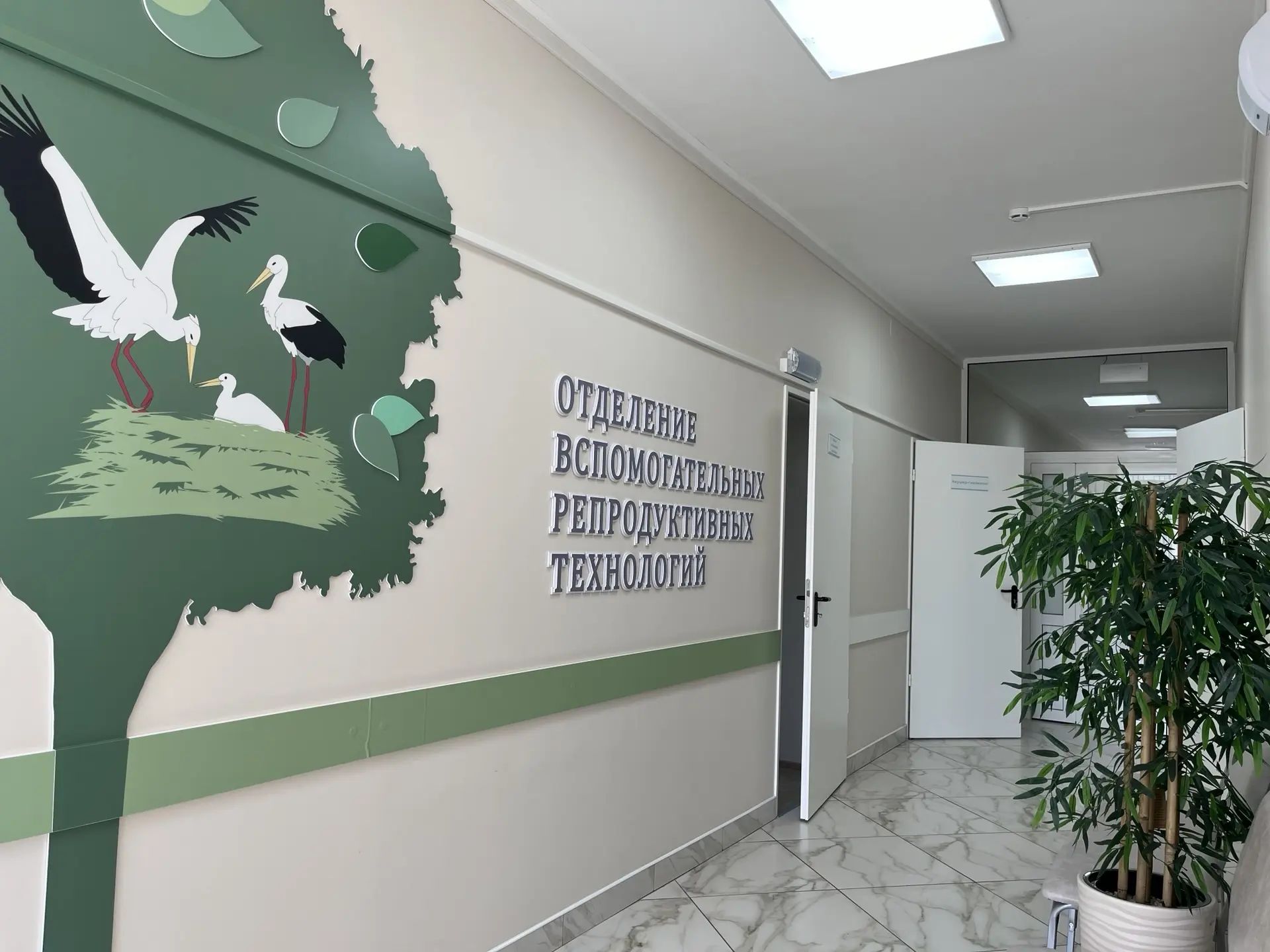Почти 200 кузбасских семей стали родителями с помощью технологии ЭКО в 2025 году (6).jpg