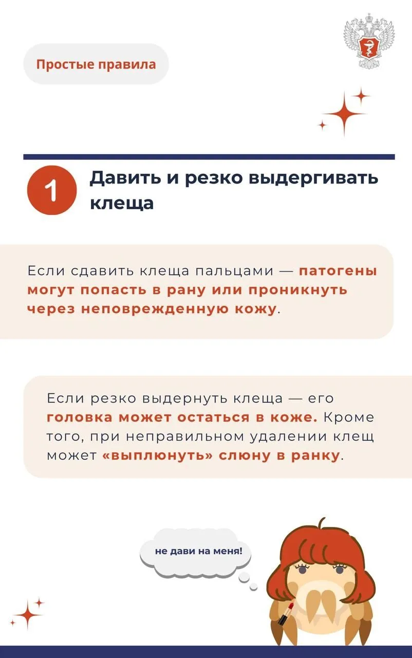 Клещ2.jpg Клещ2.jpg