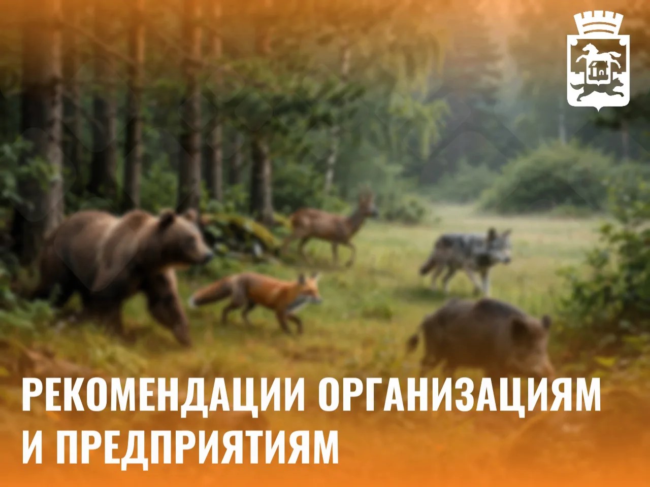 Рекомендации.jpeg