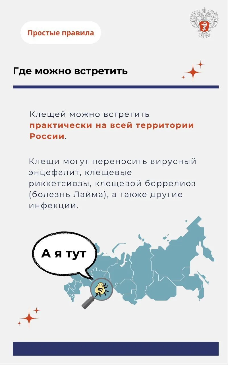 Как избежать укуса клеща 3.jpg Как избежать укуса клеща 3.jpg