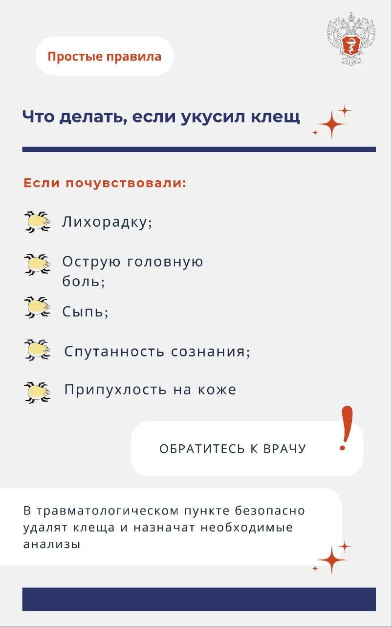 Как избежать укуса клеща 6.jpg Как избежать укуса клеща 6.jpg