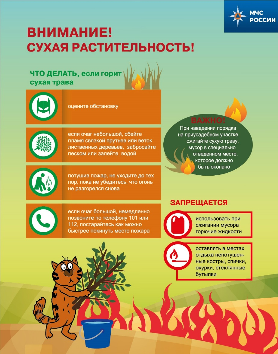 Сухая растительность.png