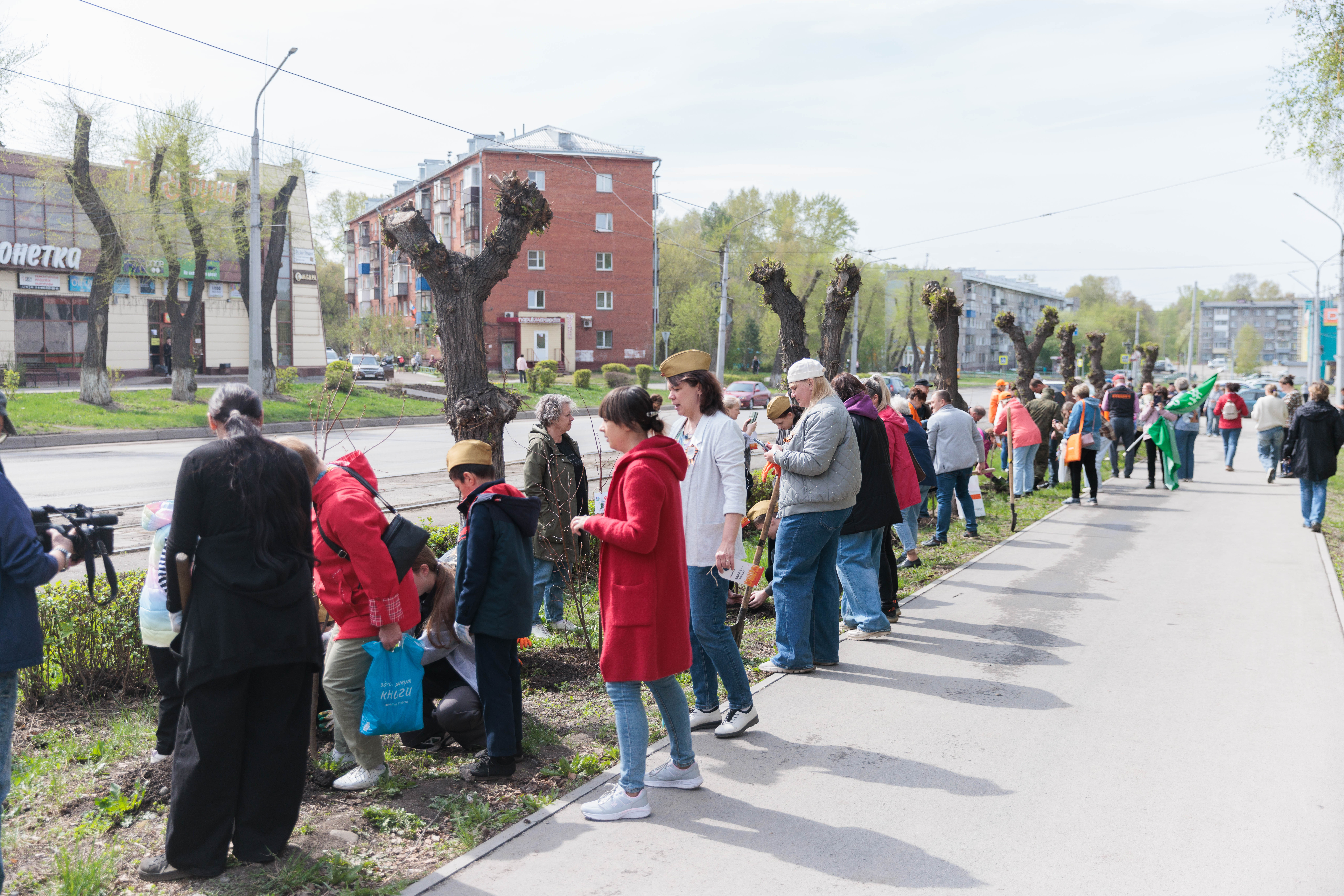 Посадка деревьев на улице Тореза.jpg Посадка деревьев на улице Тореза.jpg
