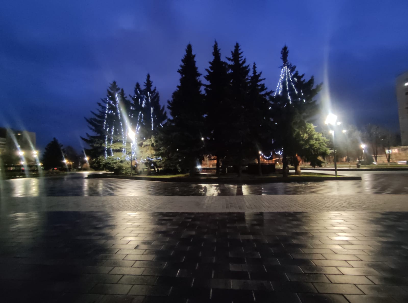41df0f62-2fb5-4bf7-a495-4030b3fe4864.jpeg 41df0f62-2fb5-4bf7-a495-4030b3fe4864.jpeg