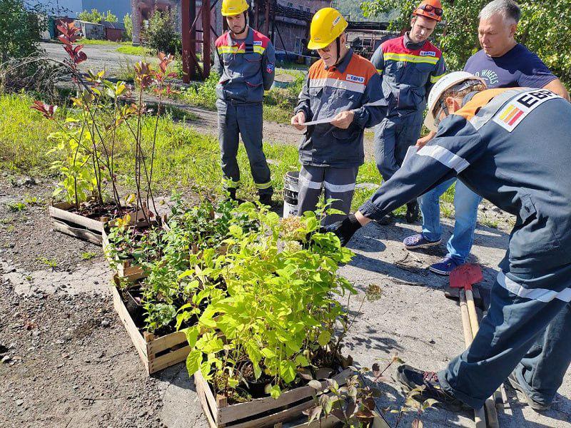 2ccfcea3-cf8c-4793-bf4c-be99c088738c.jpeg