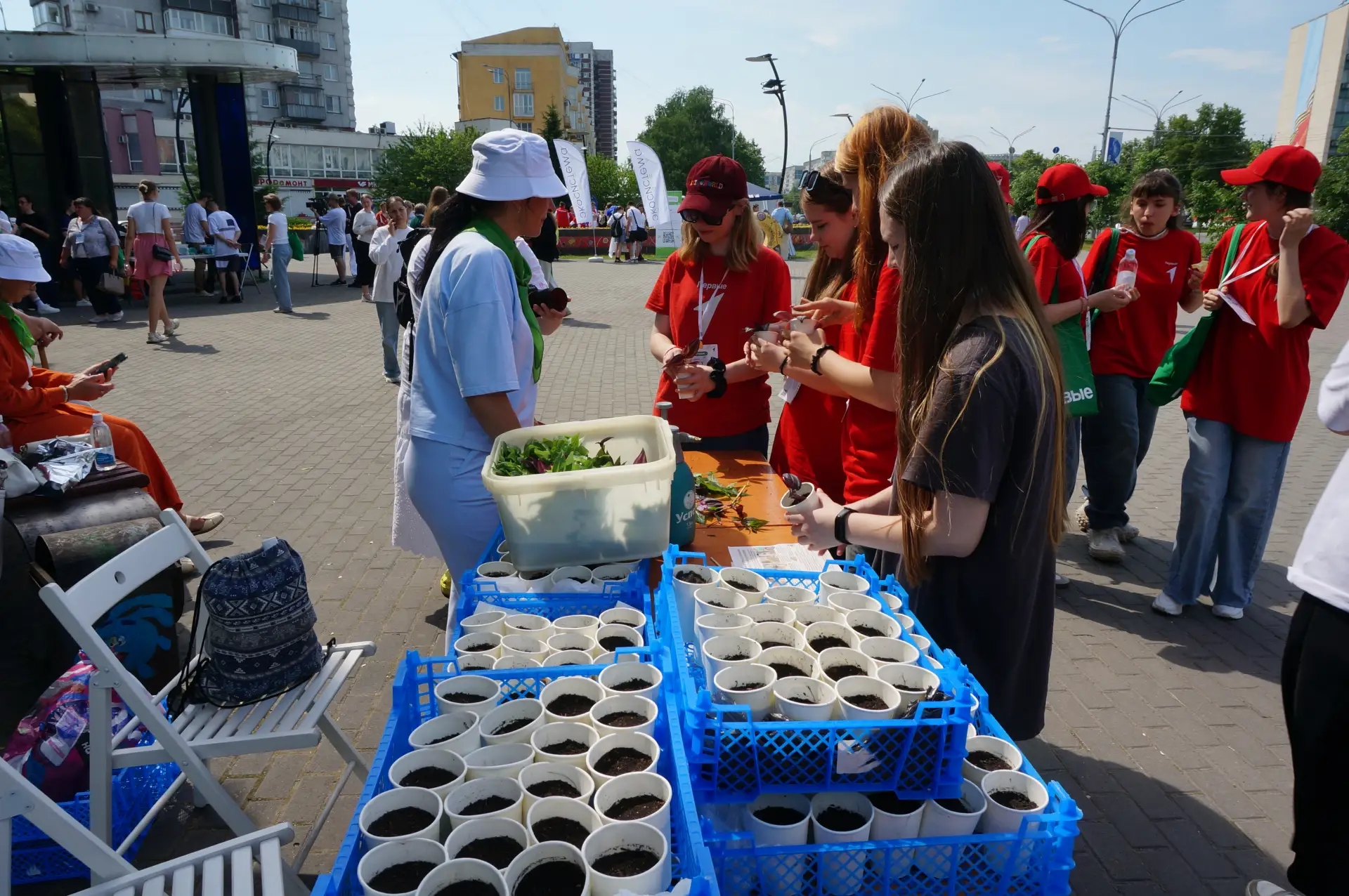 IMG_20260613_131358_604.jpg IMG_20260613_131358_604.jpg