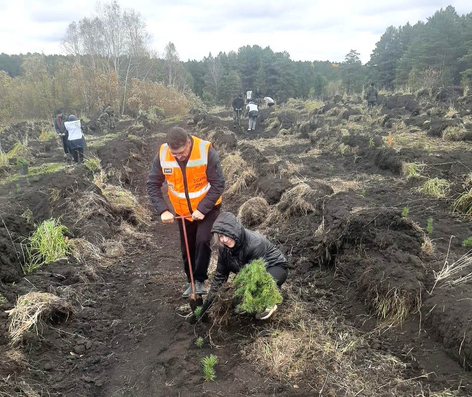 ЗСЖД-Кузбасс-посадка деревьев 4.jpeg ЗСЖД-Кузбасс-посадка деревьев 4.jpeg