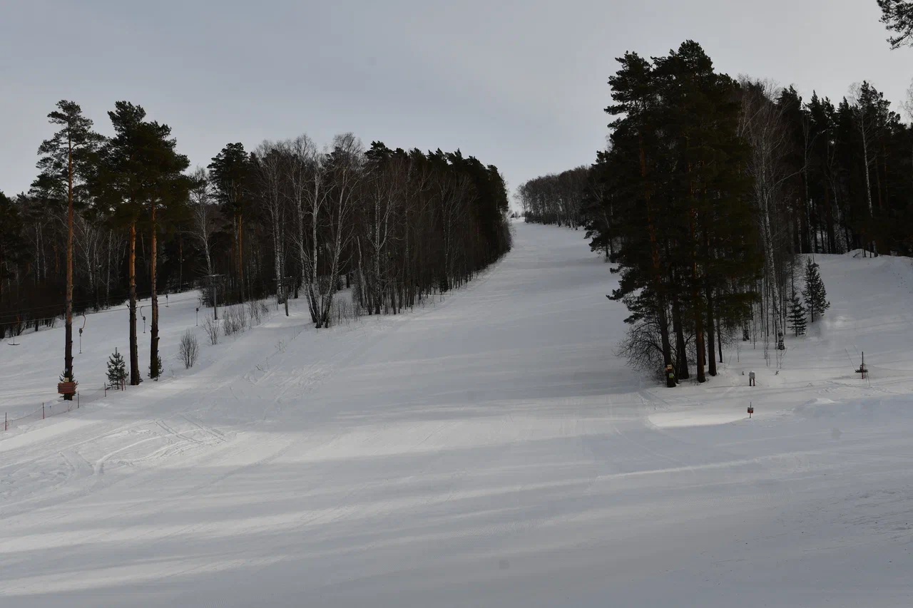 DSC_6659.JPG