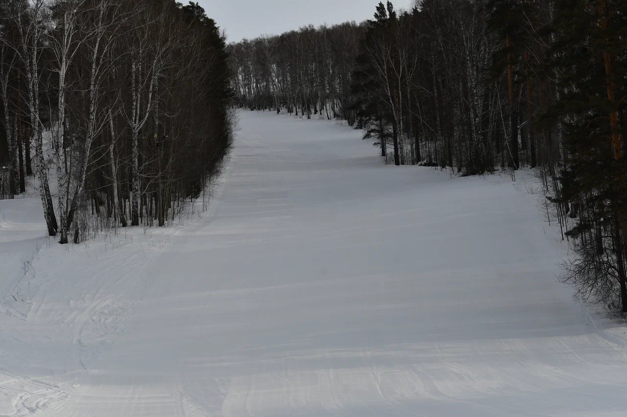 DSC_6657.JPG