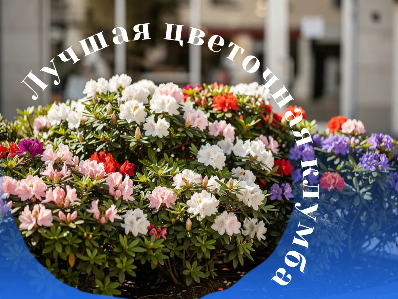 Лучшая цветочная клумба.jpg