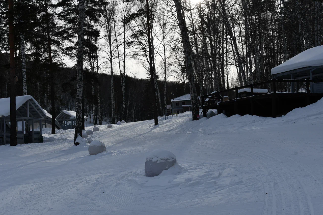 DSC_6663.JPG