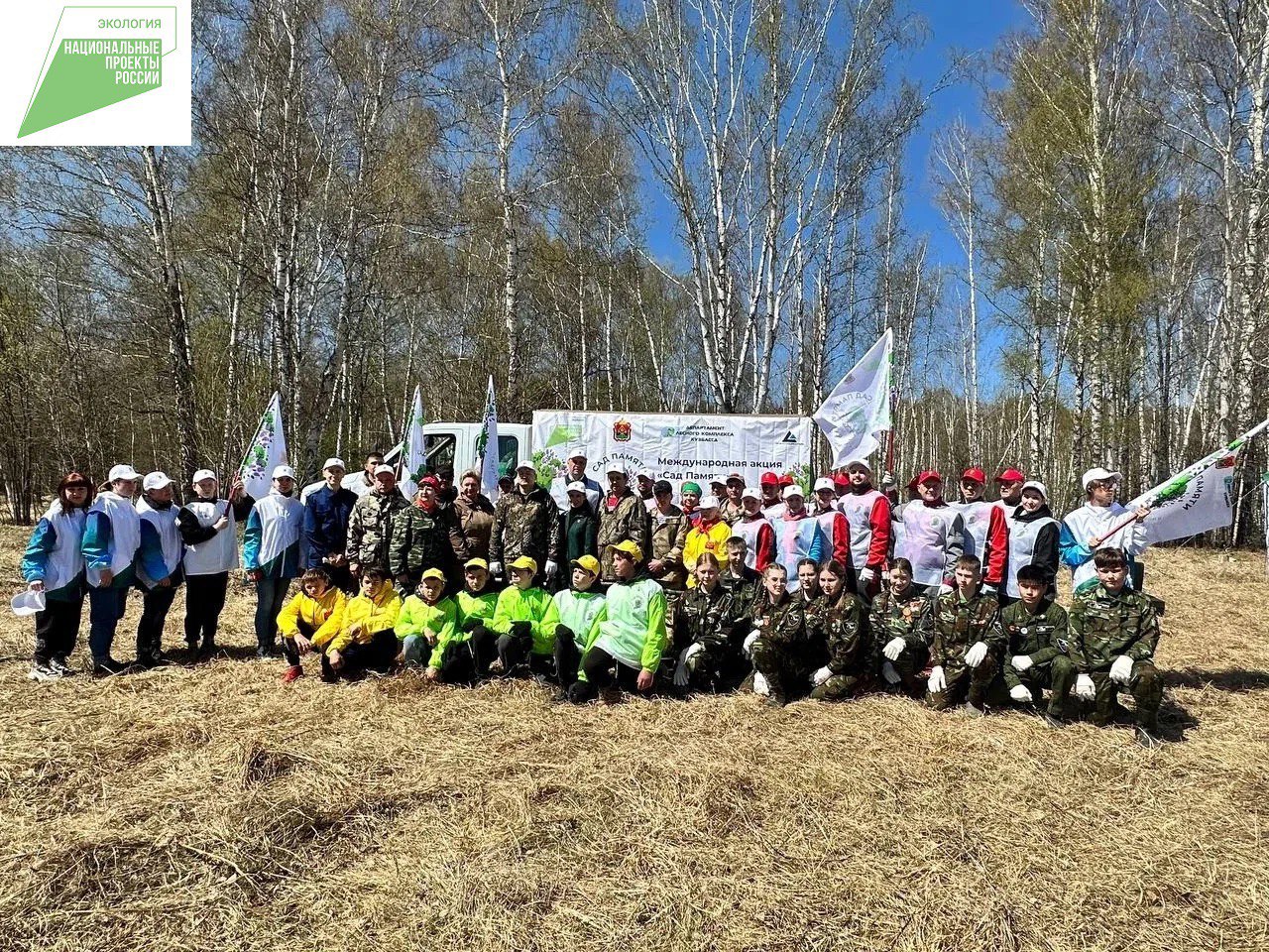 деревья нацпроект6.jpg