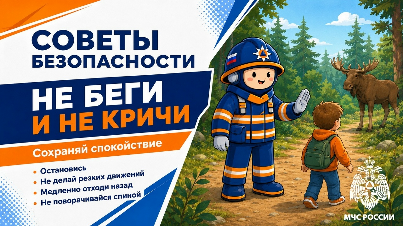 3.jpg 3.jpg