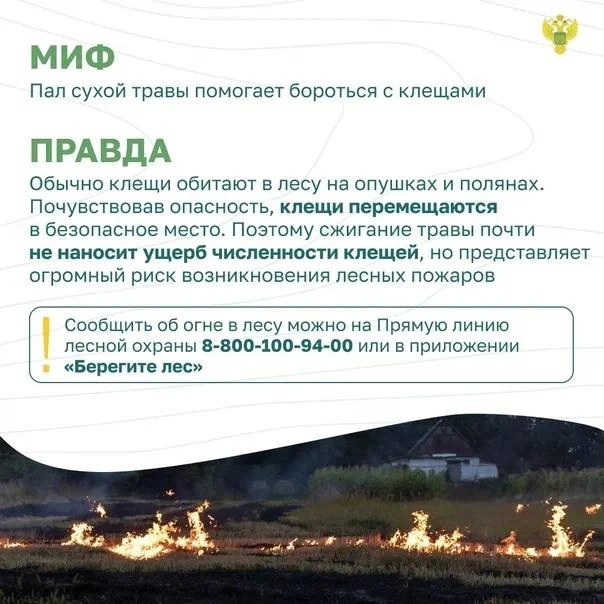 Останови огонь 5.png