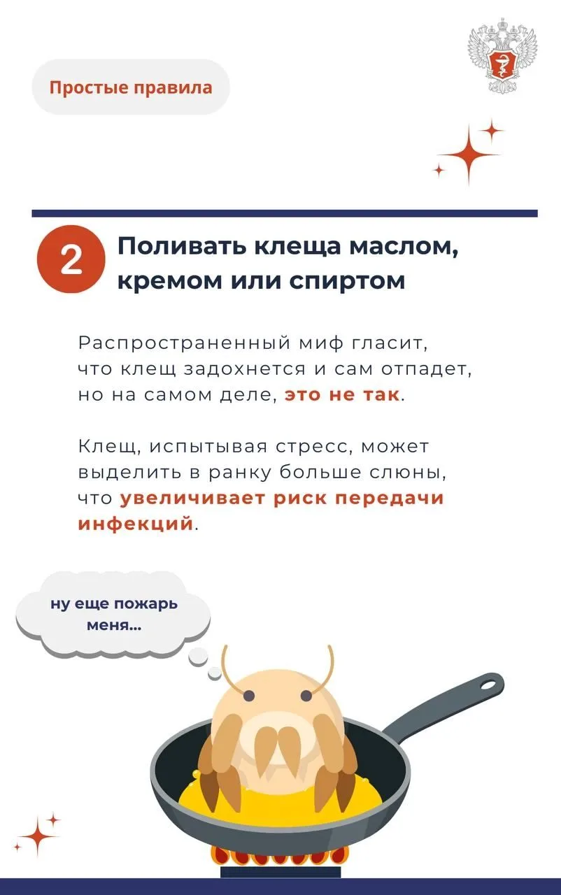 Клещ3.jpg Клещ3.jpg