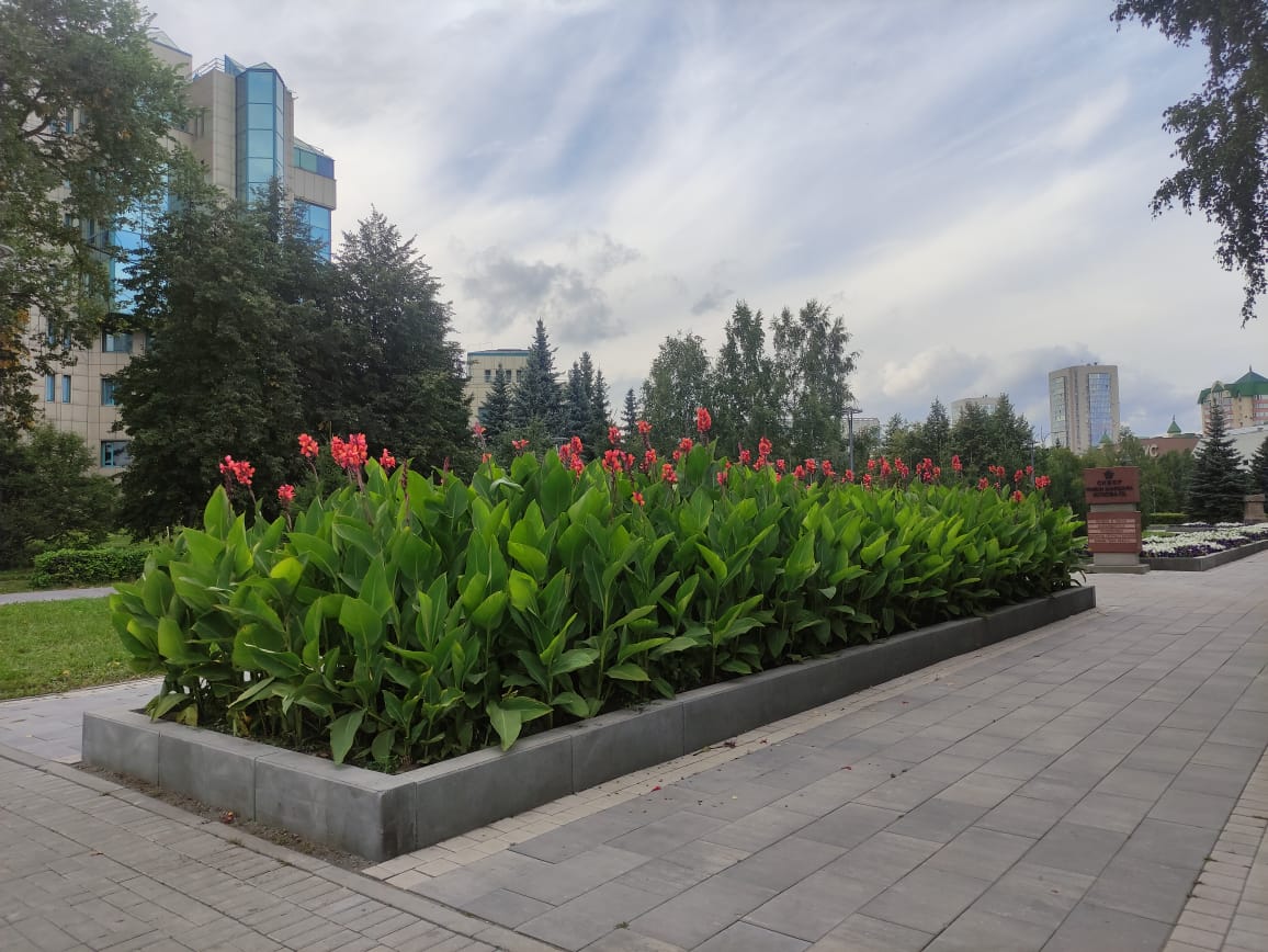 010bec17-1513-4c24-8ec6-c280d66619c7.jpeg 010bec17-1513-4c24-8ec6-c280d66619c7.jpeg