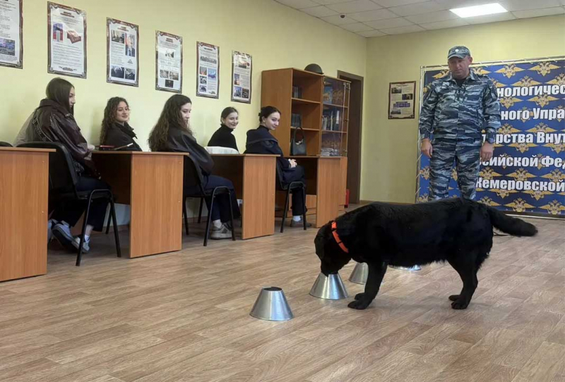 Novokuzneckie_policeyskie_poznakomili_studentov_s_rabotoy_policeyskih-kinologov_-800x600.jpg Novokuzneckie_policeyskie_poznakomili_studentov_s_rabotoy_policeyskih-kinologov_-800x600.jpg