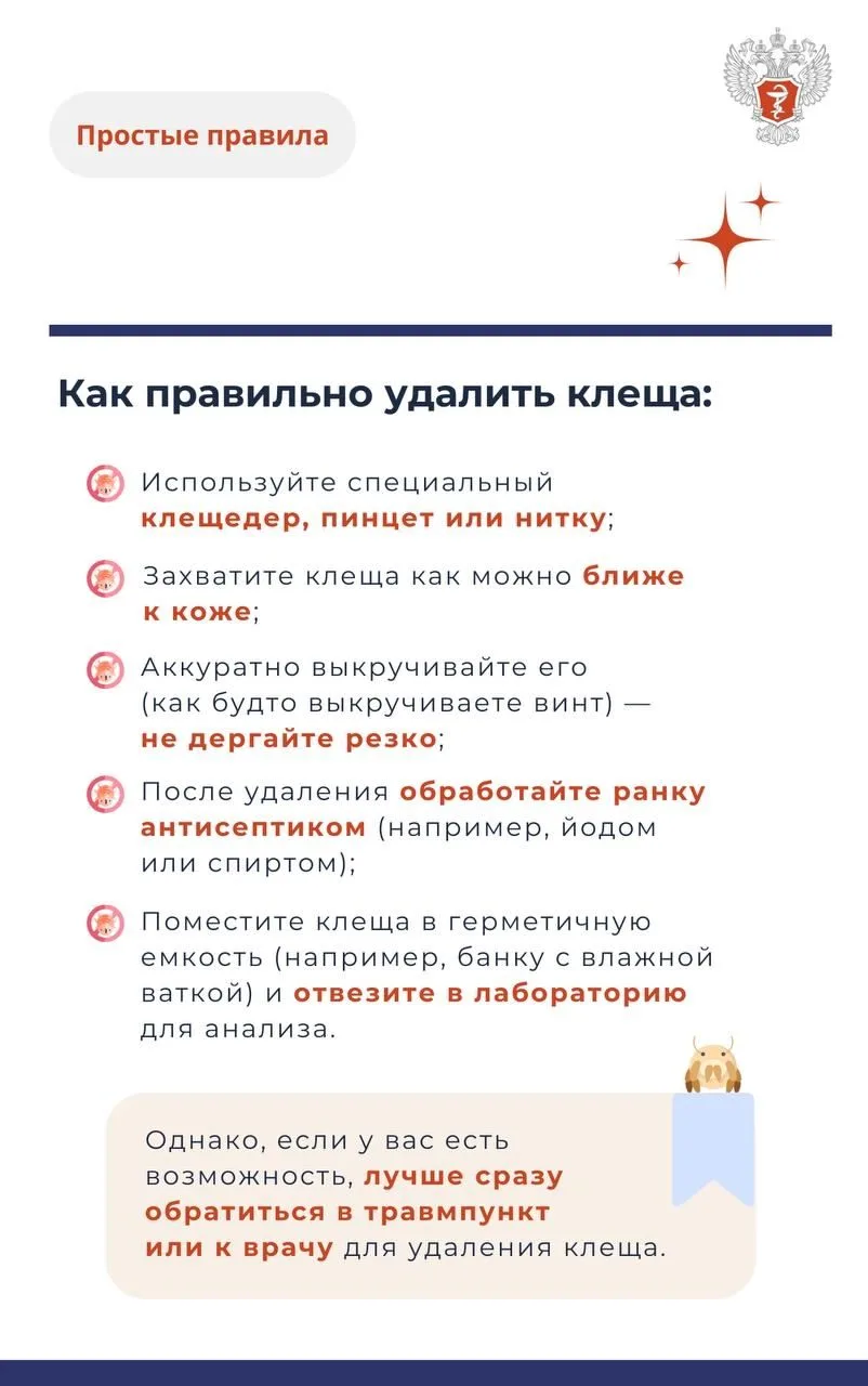 Клещ5.jpg Клещ5.jpg